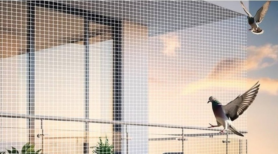 Pigeon Safety Nets